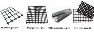 Geogrid